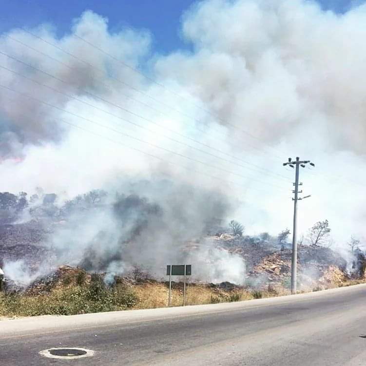Bodrum Dereköy 'De Yangın 2 FB IMG 1657280031652