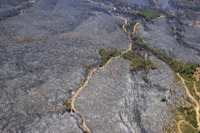 Havadan Görüntülendi, Manzara Yürek Yakıyor 3 marmaris te orman yanginin ilk basladigi nokta 15034617 7770 m