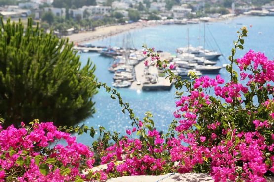 Türkiye’nin Ve Dünya’nın Parlayan Yıldızı Bodrum 3 turkiyenin ve dunyanin parlayan yildizi bodrum 4 e1527764503414