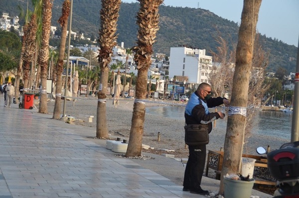 Bodrum 'Da Sahillerde Oturmak Yemek Yemek Yasaklandı 2 uck8b4t6REOropQf WZ80w