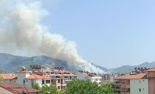 Dalaman'da Da Orman Yangını Çıktı 13 080820211540434524558