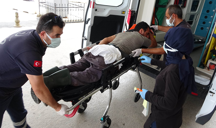 Muğla'da Kurbanlıklarını Kesmek Isterken 30 Kişi Yaralandı 12 094415722 g4