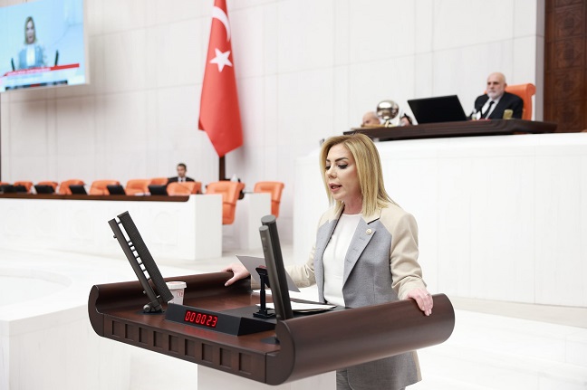 İyi̇ Parti Grup Önerisinin<Br>Aleyhinde Bir Konuşma Yaptı. 3 1 75