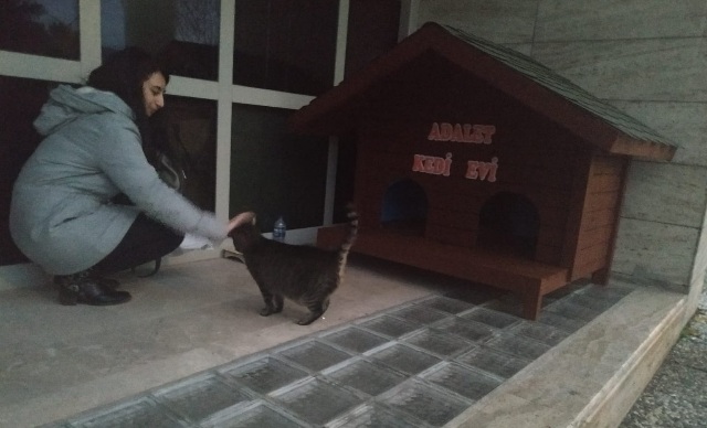 Kedi Adalet Muğla Adliyesinin Maskotu Oldu. 9 121220211856580032307 2
