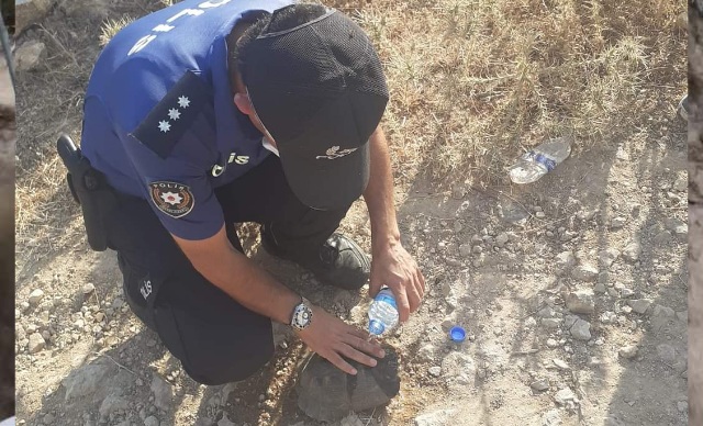 Bir Canı Kurtarmak Için Polis Şefkat Elini Uzattı 10 130820211151137119645