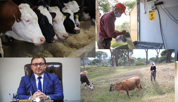Üretici Yem Fiyatı Artışına Isyan Etti! 12 20201118 173643