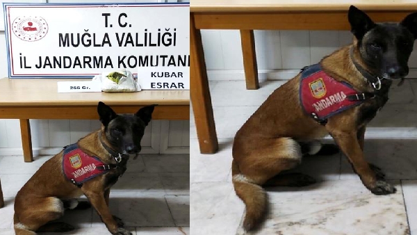 Muğla'da Cezaevinden Izinli Çıkan Kişi Uyuşturucuyla Yakalandı 6 20201209 192614