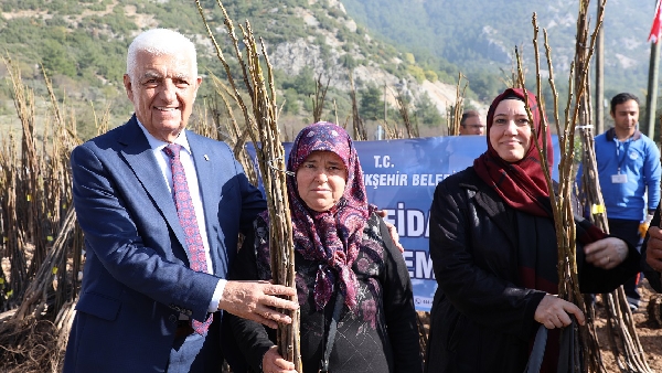 Büyükşehir Ceviz Fidanı Dağıtımına Başladı 20 20201210 163443