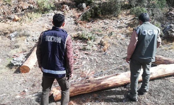 Muğla'da Orman Ihalesinde Usulsüzlük Soruşturmasında Gözaltılar Devam Ediyor 12 20210112 170822