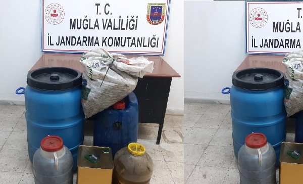 Zeytin Çalan Hırsızlar Jandarma Tarafından Yakalandı 15 20210115 132217
