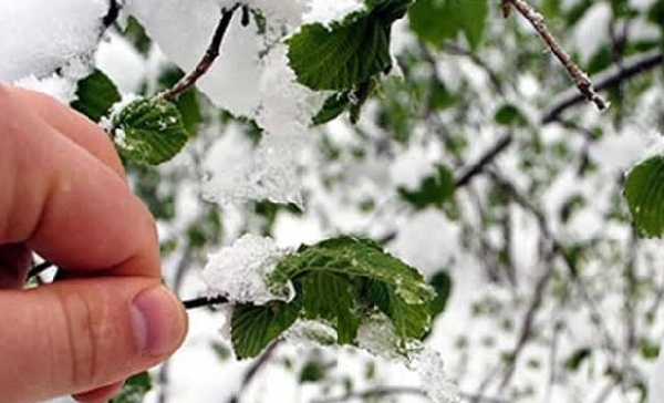 Muğla Için Zirai Don Uyarısı 16 20210118 144017