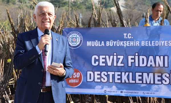 Büyükşehir 77 Bin Ceviz Fidanı Dağıttı 6 20210127 170458