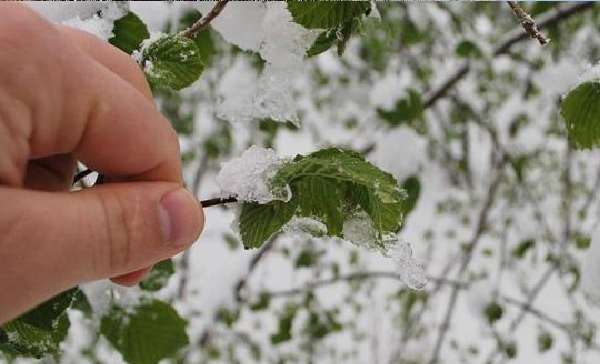 Meteoroloji̇k Uyari Muğla İli̇nde Zi̇rai̇ Don Bekleni̇yor 3 20210212 161156
