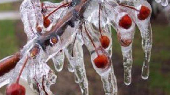 Meteoroloji Muğla Genelinde Zirai Don Uyarısı 6 20210324 153244