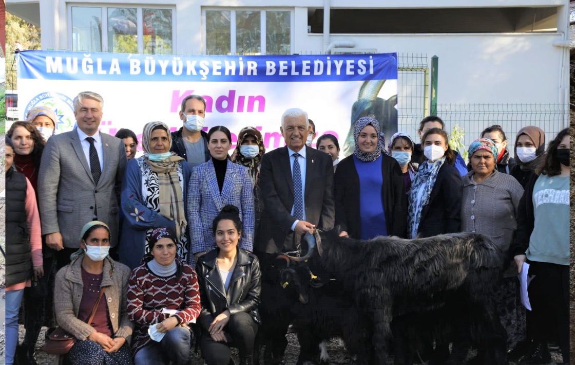 Büyükşehir Kıl Keçisi Desteğini Köyceğiz’de Sürdürdü 15 2021 11 gorus 1 1 2