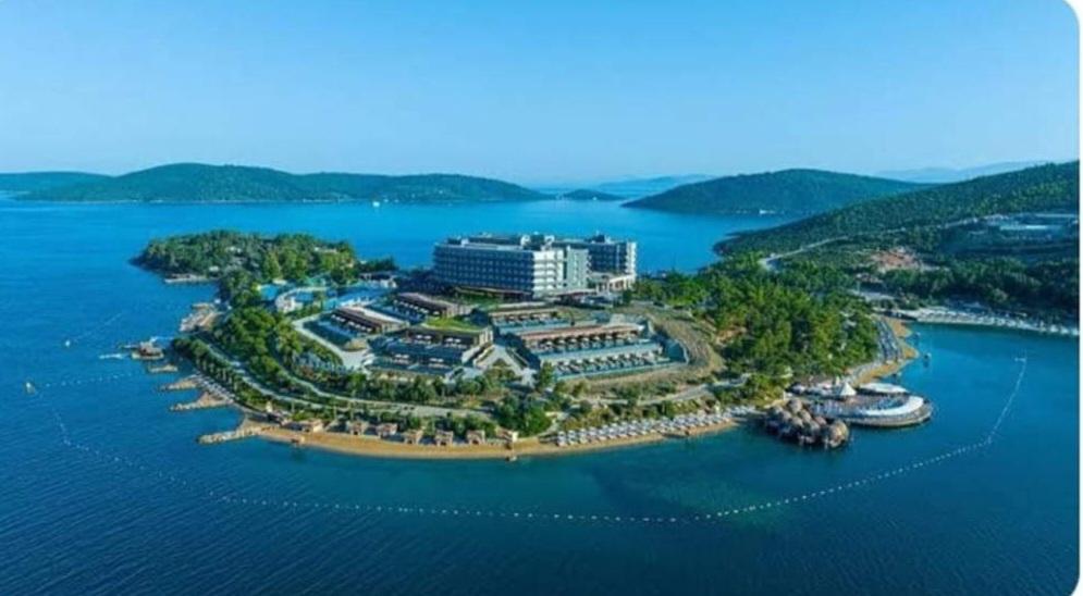 Muğla'da yanan ormanlık alana otel inşa edildiği" iddialarını yalanladı 13 FB IMG 1707735211023