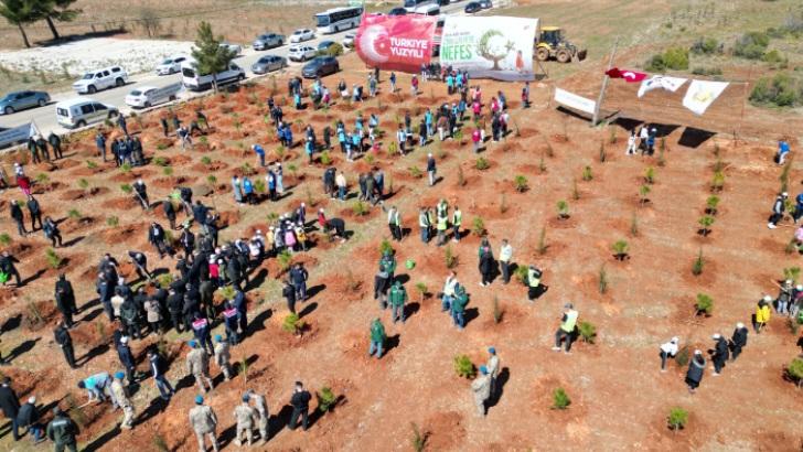 Muğla’da 30 Bin Fidan Toprakla Buluştu 12 65f9a372b843023b3c200fc0 4