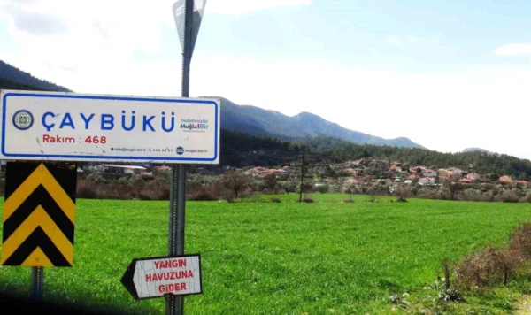 Çaybükü Mahallesi'nin ismi 'Gevenes' olarak değiştirildi 13 gevenes ormanci turkusundeki ismine kavustu 16966280 amp e1711021163288