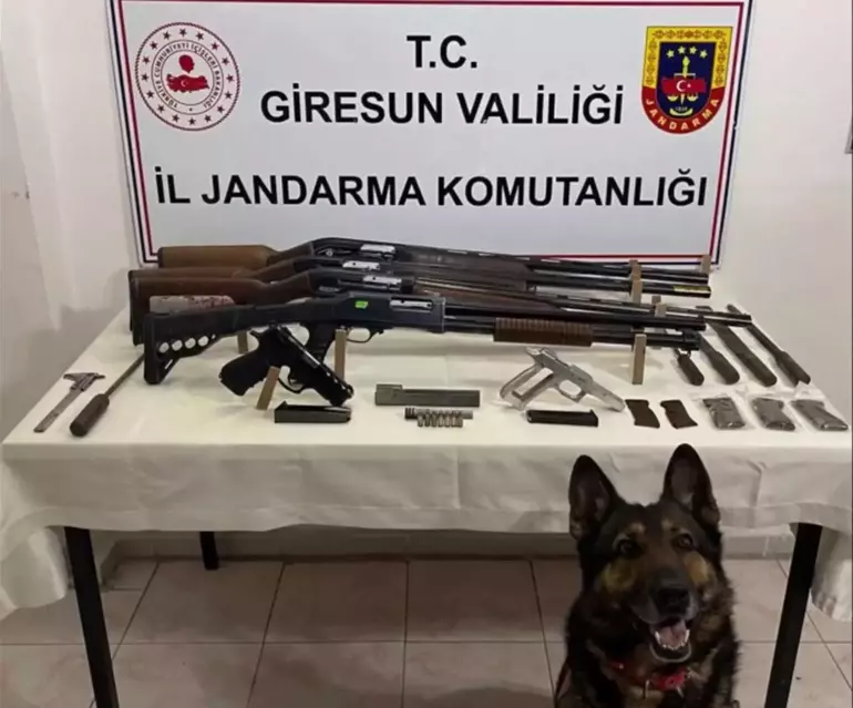 707 silah ele geçirildi, 869 şüpheliye işlem yapıldı 15 661cc80fd64dadd476d5237a