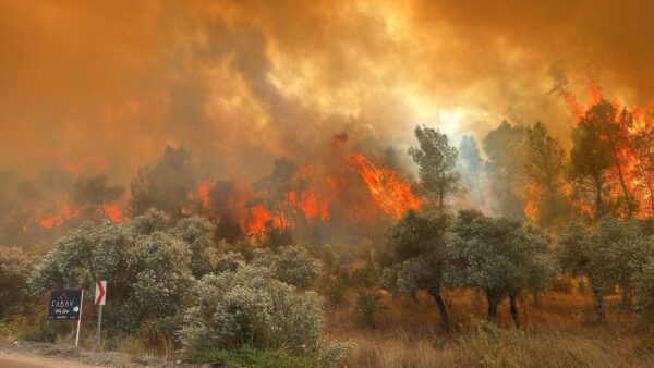 Meteoroloji Muğla’yı Orman Yangınlarına Karşı Uyardı 18 mugla orman yangini a 2076030 e1713087436963