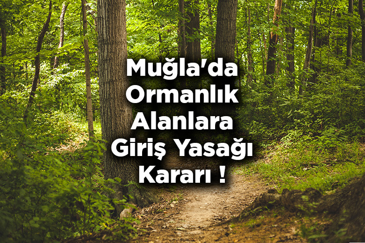 muglada ormanlik alanlara giris yasagi karari muglada ormanlara giris yasak mi