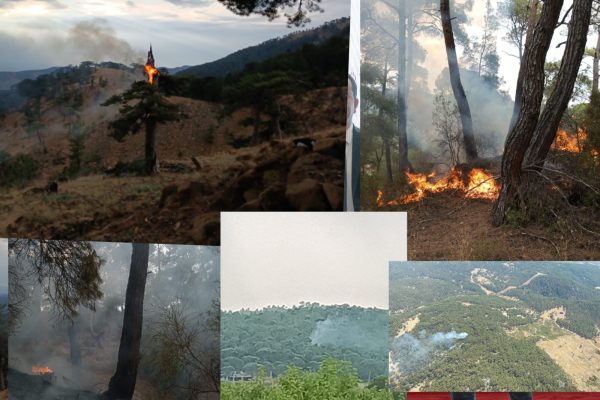 Muğla'da 11 yıldırım yangını söndürüldü 2 Gorsel 1 1 e1721173536453