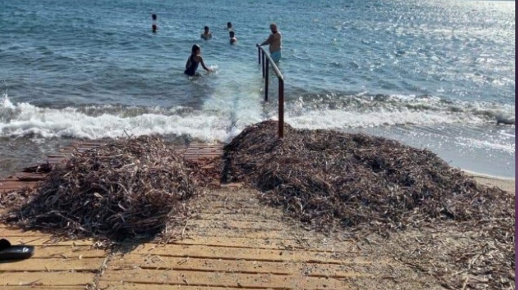 Engeli Halk plajında bakımsızlık tepki topladı 1 images 1 9