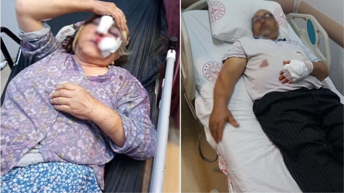 Evine gelen kayınvalide ve kayınpedere damat dayağı 11 kayinvalide ve kayinpedere damat dayagi 17541103 296 amp 1