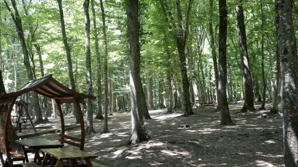 Muğla 'da bazı alanlar orman sınırları dışına çıkarıldı 20 ormanlik alan aa 1628258 e1721209279589