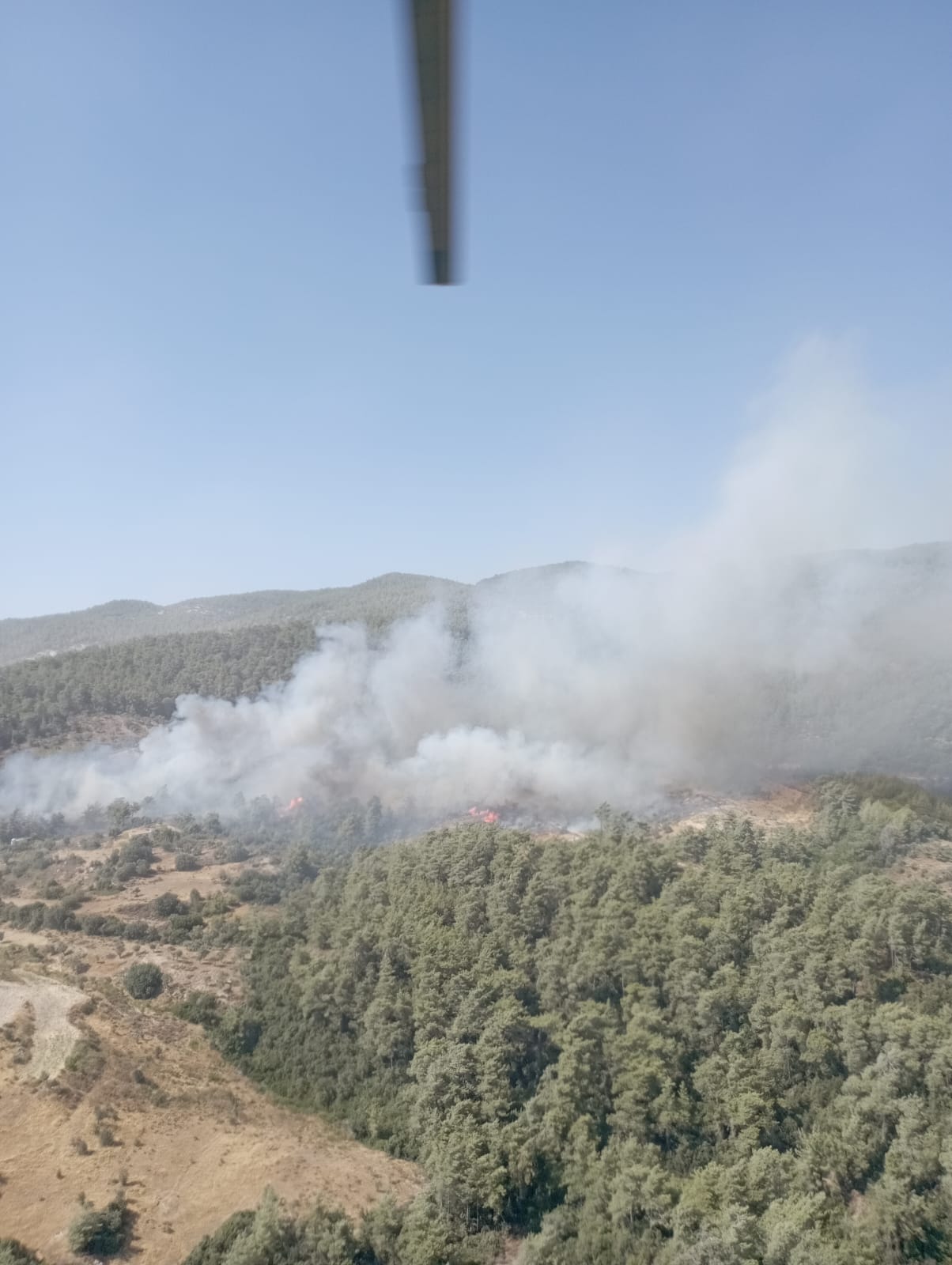 Milas Sekköy orman yangını çıktı 13 IMG 20240807 WA0045