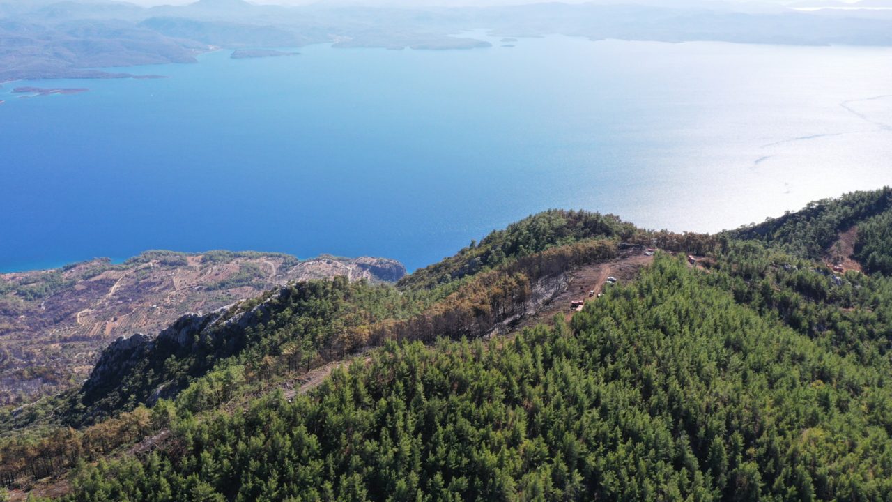 ALEVLERİN ÖNÜNÜ KESMEK İÇİN 6 KM ŞERİT AÇILDI 2 IMG 20241021 WA0083 scaled