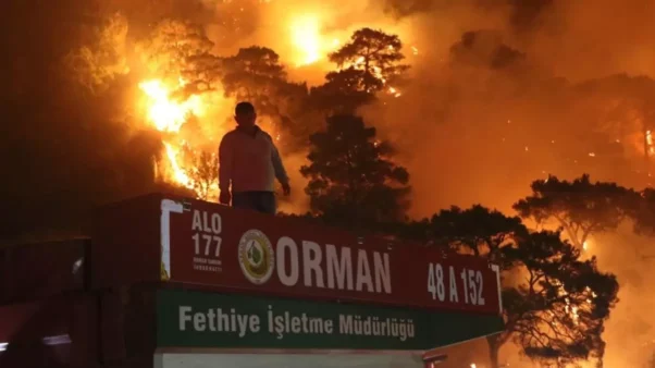 Muğla'nın 3 ilçesinde orman yangını; alevlere müdahale sürüyor 14 dalaman da orman yangini ruzgarin etkisiyle 17944086 7994 amp e1729242219343