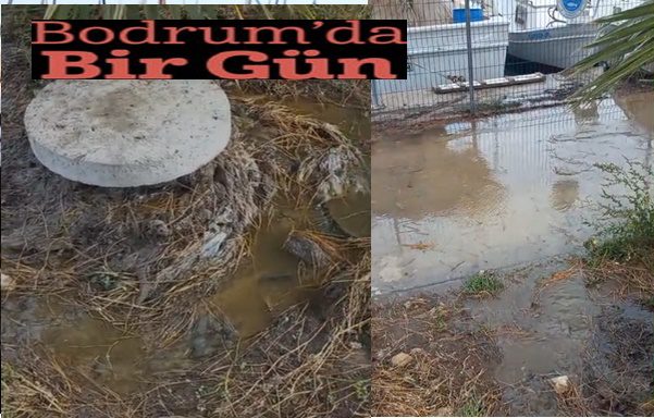 Mavi bayraklı denize pislik akıyor 1 834629Image1 1