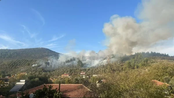 Menteşe'de Orman Yangını 6 mugla da orman yangini 2 18004966 amp e1730647713986