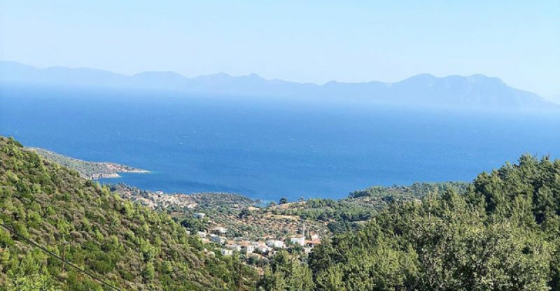 mazi koyu bodrum gezi rehberi 800x416 1