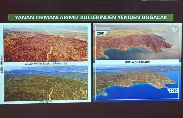 Muğla'da orman yangınlarının yüzde 59'u insan kaynaklı 4 678797810c61844665e81b48