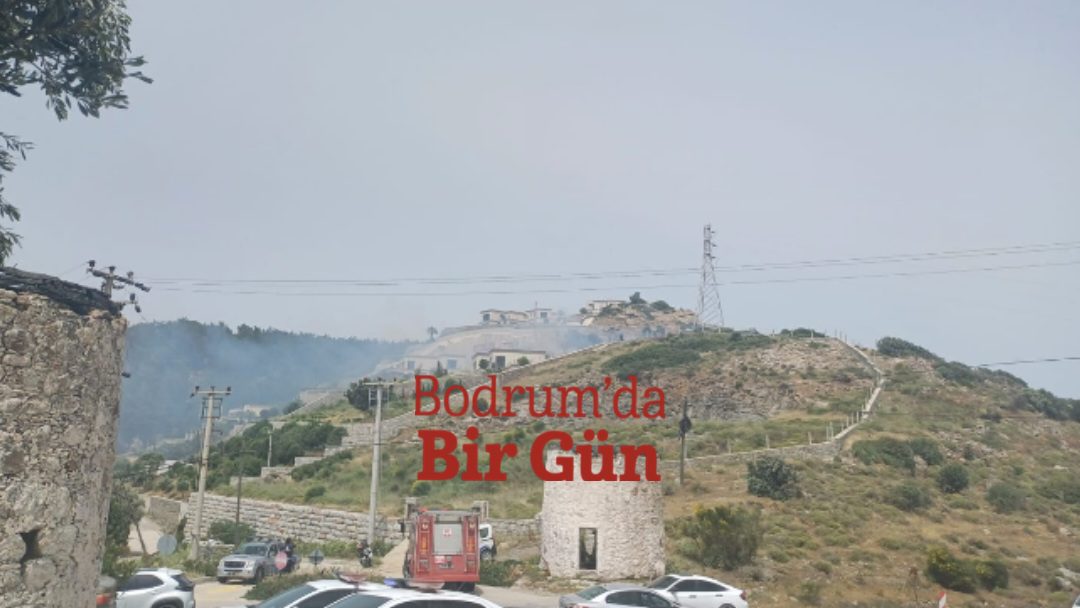 FB IMG 1747313937686 7