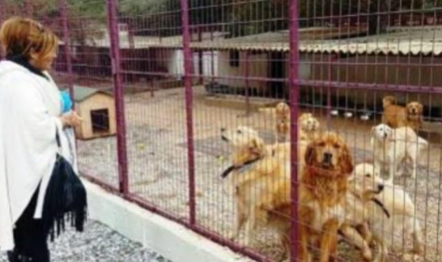 Valilik Bodrum Belediyesi’ne 100 milyon TL’lik cezayı onayladı 18 images 12
