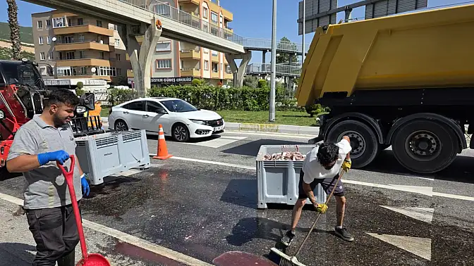 Kasa açıldı tonlarca balık yola döküldü 9 milas ta balik yuklu kamyonun