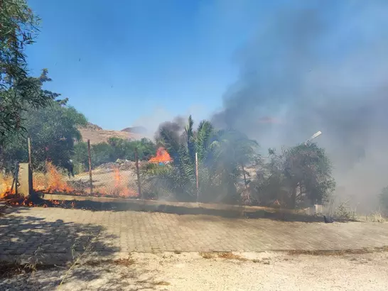 Bodrum'da ot yangınında alevler ağaçlara sıçradı 8 685eab4d16033f7ad0b34cca