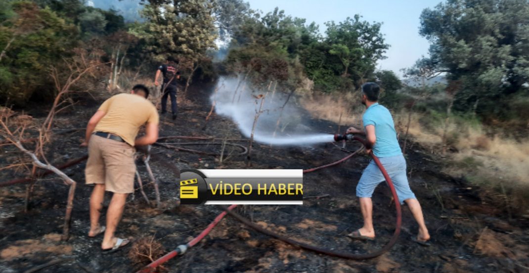 Turgutreis Bahçelievler 'de yangın 13 Screenshot 20250615 112211 Facebook 1