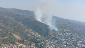Söke 'de orman yangını 18 images 3 4