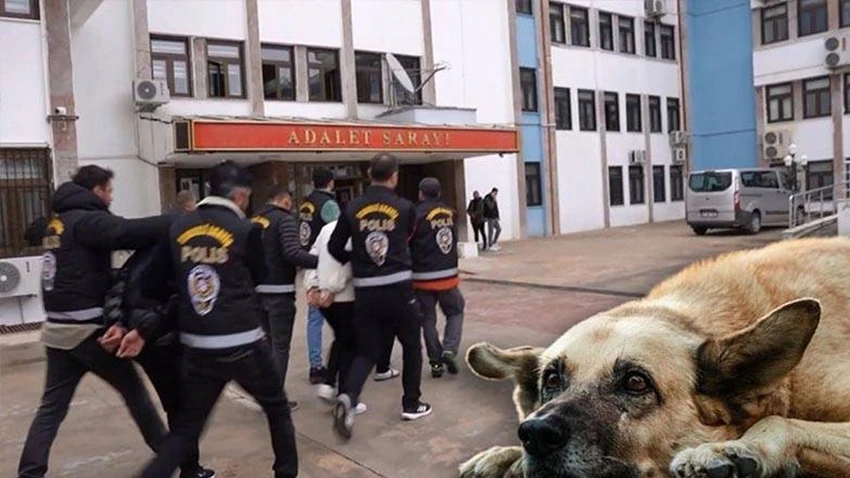 Mama bağışı adı altında 25 milyonluk vurgun 17 kopek 5mvo cover
