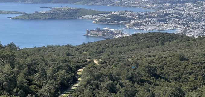 Bodrum'da ormanlık alanlara giriş izne tabi olacak 7 100987946