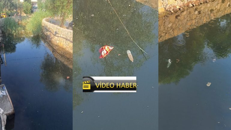 Mavi bayrak ödüllü Türkbükü'nde rezil görüntü 9 68773c634f48e04bf4d6e432