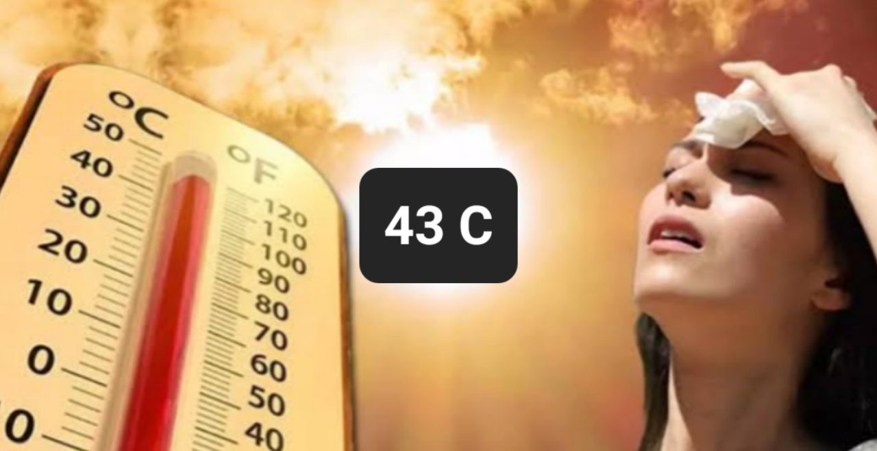 Hafta sonu kavrulacağız: Ege 43 dereceyi görecek 19 IMG 20250702 WA0056 1 scaled