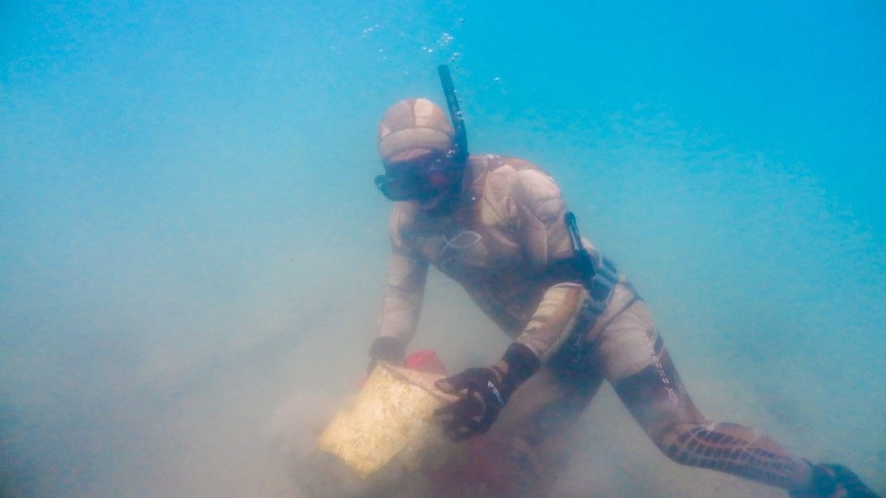 Torba’da Deniz Dibi Temizliği 1 bodrum belediyesi torbada deniz dibi temizligi 1 scaled