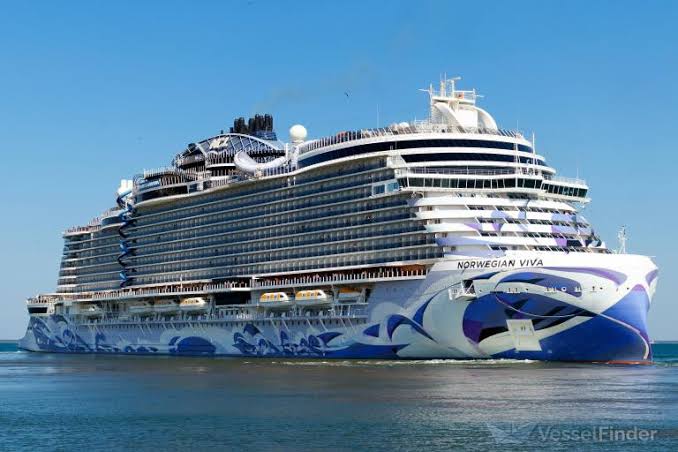 Bodrum'a denizden turist yağıyor 3 images 1 21