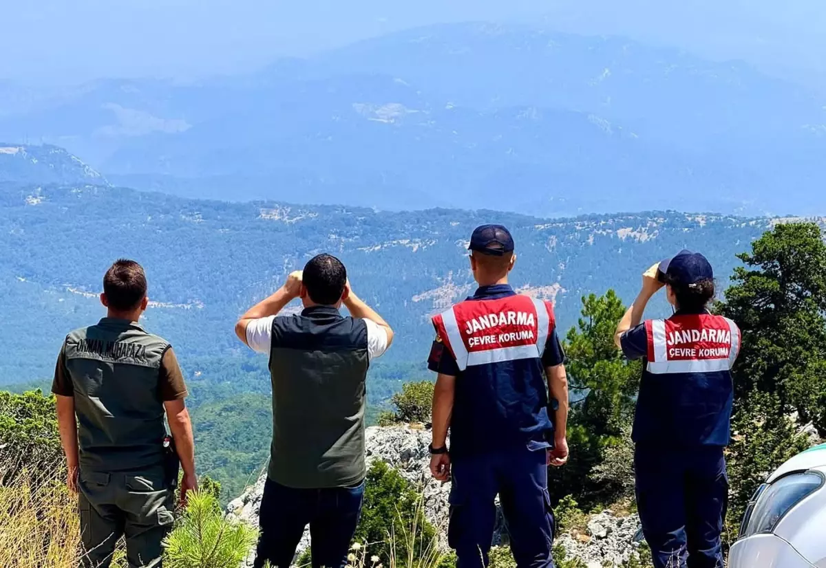 Orman Yangınlarına Karşı Gözetleme ve Devriye 13 mugla da jandarma ve orman ekipleri yanginlar 18889067 amp