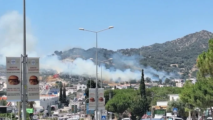 Ortakent'te Otluk Alanda Yangın: 8 ortakent yangin 3 1 e1751448519925